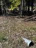 Lot 7 Champlain Road, Tiny, ON 