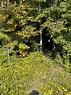 Lot 7 Champlain Road, Tiny, ON 