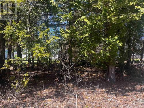 Lot 25 Champlain Road, Tiny, ON 
