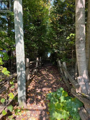 Lot 25 Champlain Road, Tiny, ON 