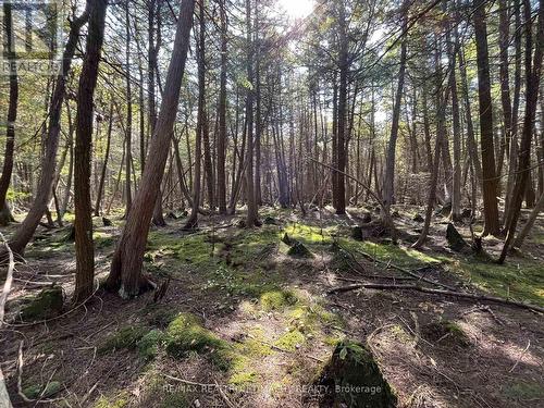 Lot 25 Champlain Road, Tiny, ON 