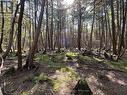 Lot 25 Champlain Road, Tiny, ON 