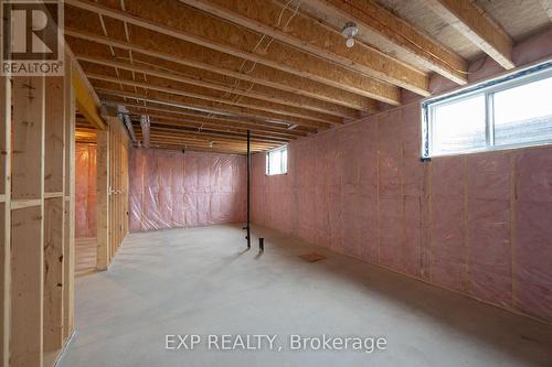 2052 Wickerson Road, London South (South K), ON - Indoor Photo Showing Basement