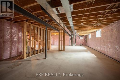 2052 Wickerson Road, London South (South K), ON - Indoor Photo Showing Basement