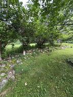 Summer gardens 2025 - 