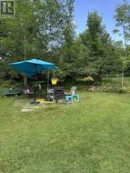 Summer patio 2025 - 