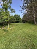 Expansive grassy lawn 2025 photo - 