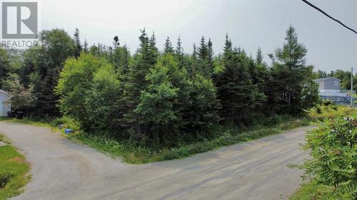 7 Bottom Brook Heights, Rocky Harbour, NL 