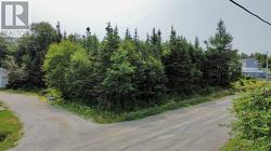 7 Bottom Brook Heights Rocky Harbour, NL A0K 4N0