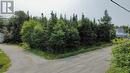 7 Bottom Brook Heights, Rocky Harbour, NL 
