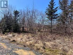 Lot 13 Whiskey Hill Bay Roberts, NL A0A 3V0