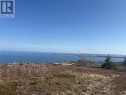 0 Farm Road Upper Island Cove, NL A0A 4E0