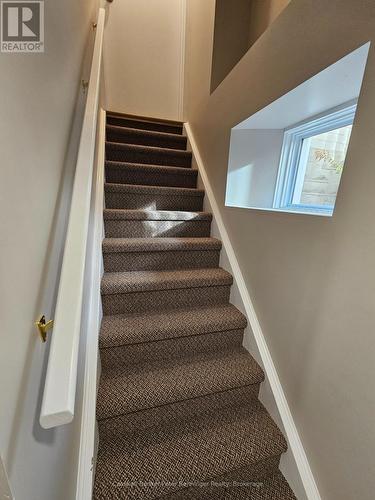 stairs to basement - 100 Lancaster Street E, Kitchener, ON 