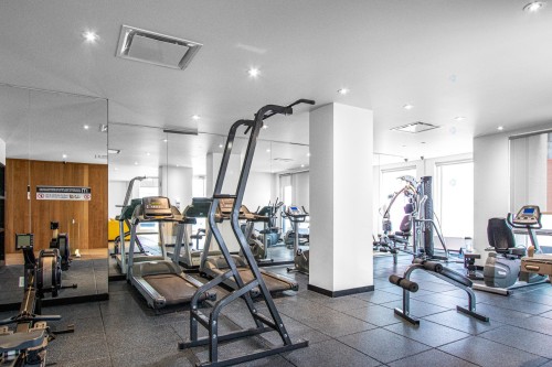 Salle d'exercice - 309-635 Rue St-Maurice, Montréal (Ville-Marie), QC - Indoor Photo Showing Gym Room