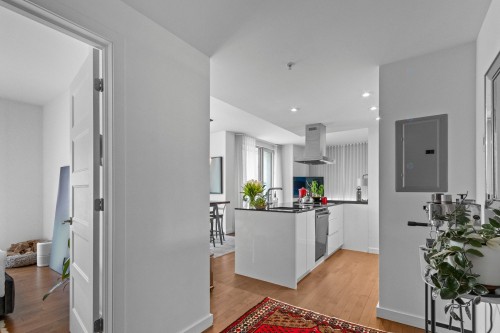 Hall d'entrée/Vestibule - 309-635 Rue St-Maurice, Montréal (Ville-Marie), QC - Indoor