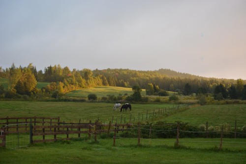 Vue d'ensemble - 965 Route 275 S., Frampton, QC 