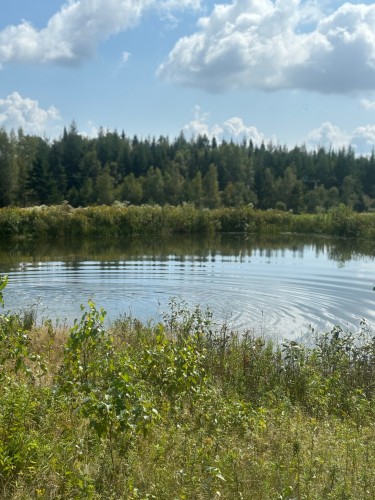 Autre - 965 Route 275 S., Frampton, QC 