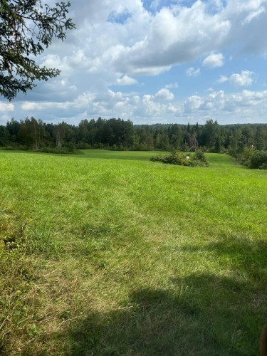 Vue d'ensemble - 965 Route 275 S., Frampton, QC 