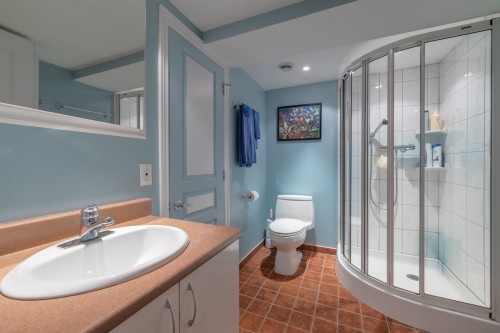 Salle de bains - 105 Av. De Brixton, Saint-Lambert, QC - Indoor Photo Showing Bathroom