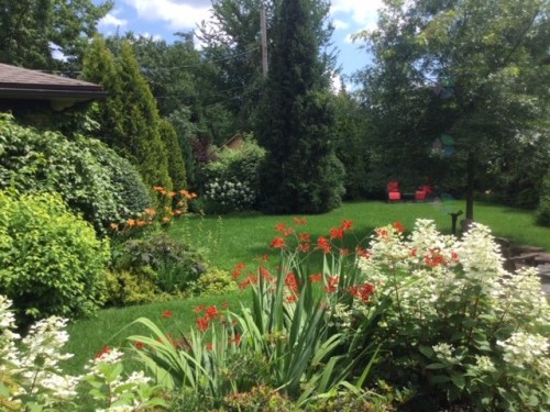Cour - 105 Av. De Brixton, Saint-Lambert, QC - Outdoor