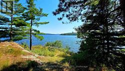 272 MASK ISLAND DRIVE S Madawaska Valley, ON K0J 1B0