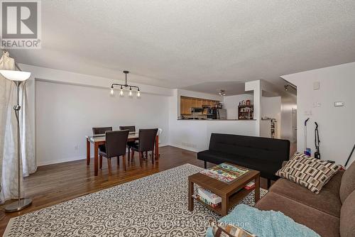 323 Freedom Private, Ottawa, ON - Indoor Photo Showing Living Room