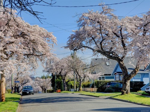 12 Briar Pl, Victoria, BC 