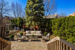 Garden - 