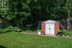 Backyard - 