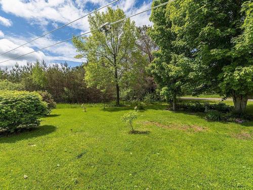 8770 Highway 201, Nictaux, NS 