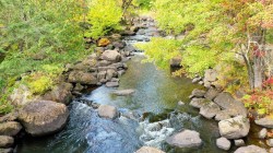 Vue sur l'eau - 