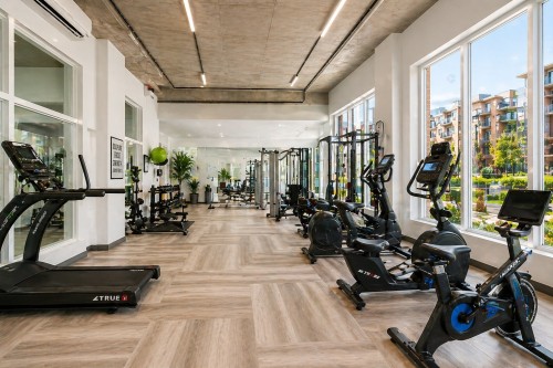 Exercise Room - 101-3950 Rue Claude-Henri-Grignon, Montréal (Saint-Laurent), QC - Indoor Photo Showing Gym Room
