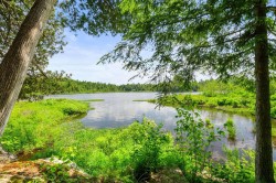 Bord de l'eau - 