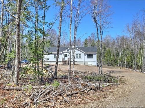 124 Diamond Square Rd, Fredericton Junction, NB 