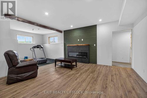 Recreation room - 1479 Webster Road, Douro-Dummer, ON 