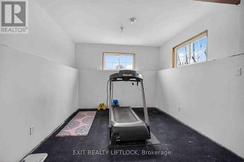 Recreation room - 1479 Webster Road, Douro-Dummer, ON 