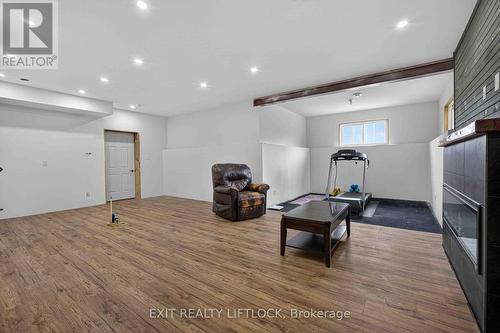 Recreation room - 1479 Webster Road, Douro-Dummer, ON 