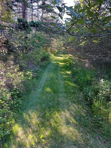 662 Highway 217, Freeport, NS 