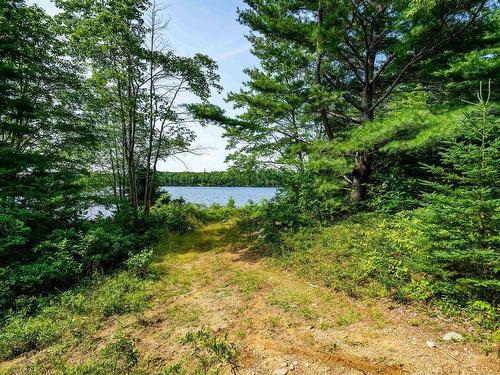 Lot 5 Victory Road, Victory, NS 