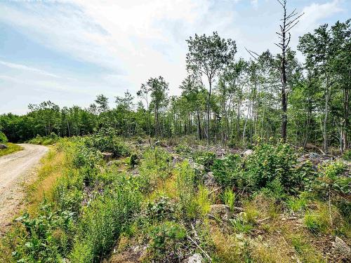 Lot 5 Victory Road, Victory, NS 