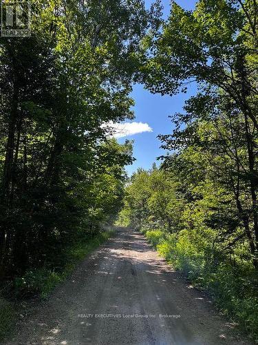 114 Memory Lane, Chisholm, ON 