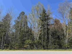 Lot 4 Highway 509 Lower Maccan, NS B0L 1B0
