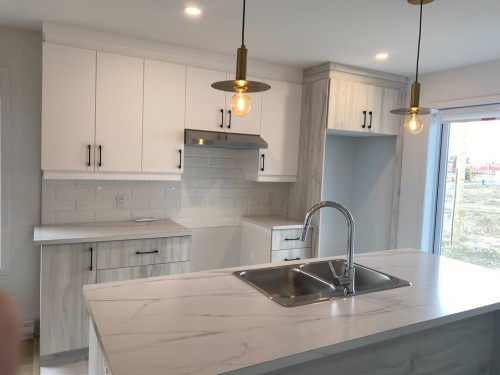 Cuisine - 98 Rue Des Marronniers, Salaberry-De-Valleyfield, QC - Indoor Photo Showing Kitchen With Double Sink