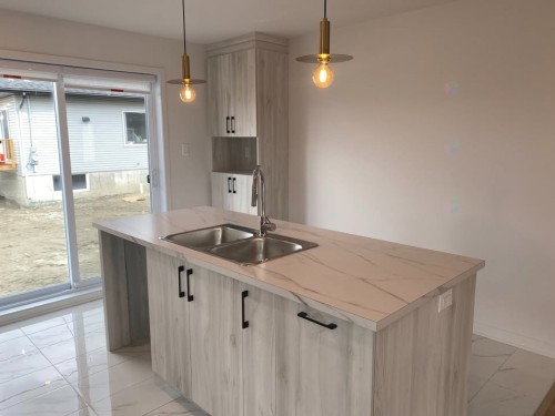 Cuisine - 98 Rue Des Marronniers, Salaberry-De-Valleyfield, QC - Indoor Photo Showing Kitchen With Double Sink