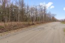 Terre/Terrain - Rue Des Girolles, Magog, QC 