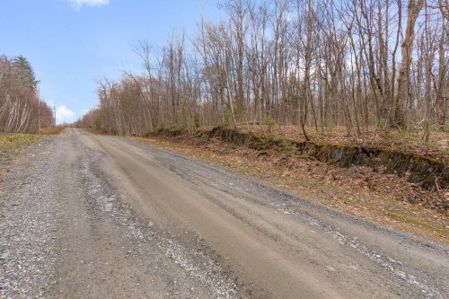 Terre/Terrain - Rue Des Girolles, Magog, QC 