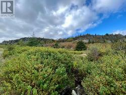 6-8 Old Road N Salmon Cove, NL A0A 3S0