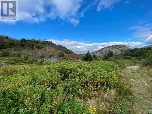 6-8 Old Road N, Salmon Cove, NL 