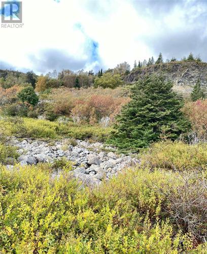 6-8 Old Road N, Salmon Cove, NL 