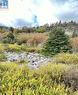6-8 Old Road N, Salmon Cove, NL 